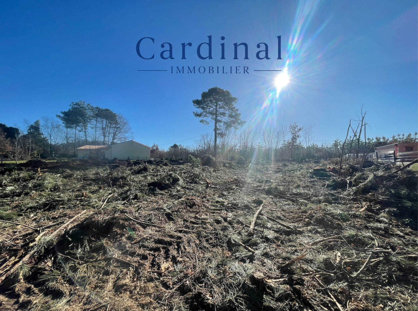 Image_4, Terrain, Coursac, ref :TR23