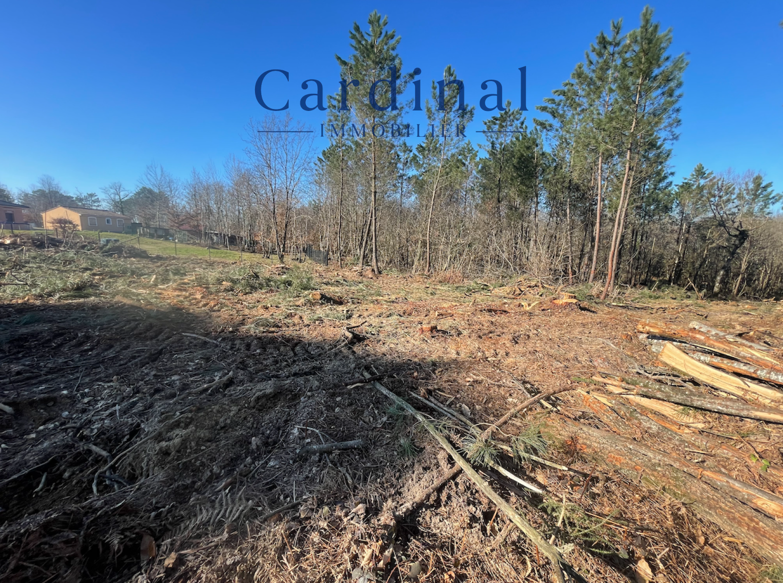 Image_5, Terrain, Coursac, ref :TR23