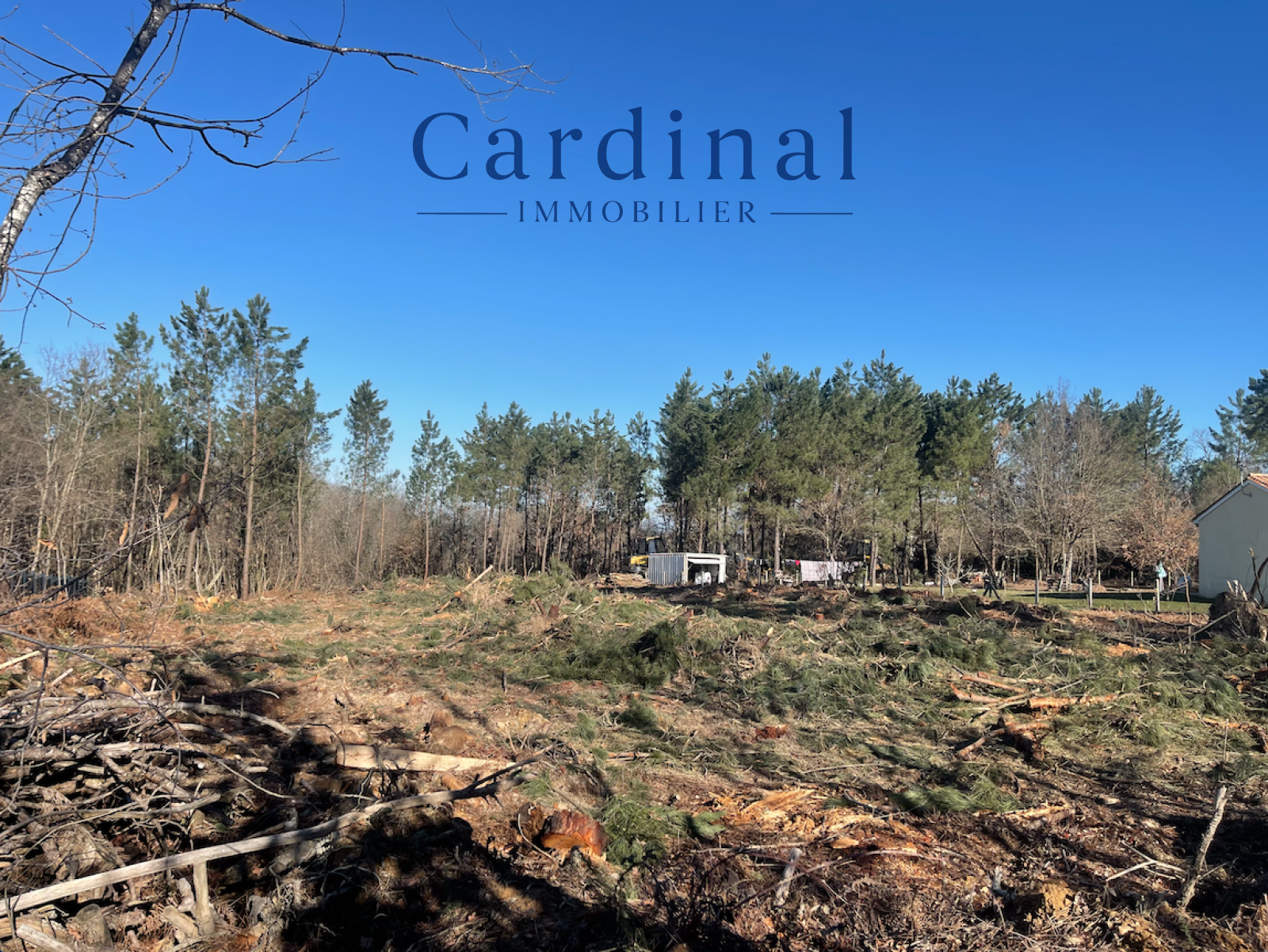 Image_1, Terrain, Coursac, ref :TR23