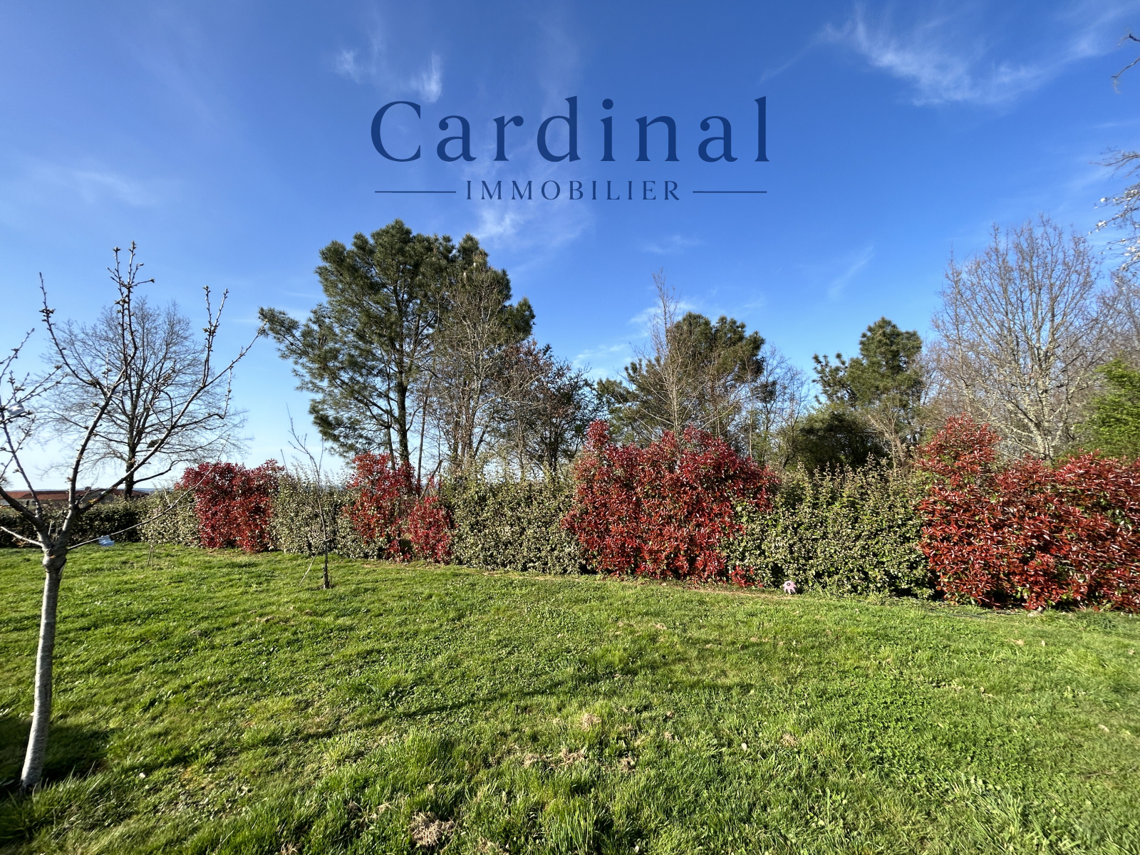 Image_29, Maison, Coursac, ref :CARDINAL 57