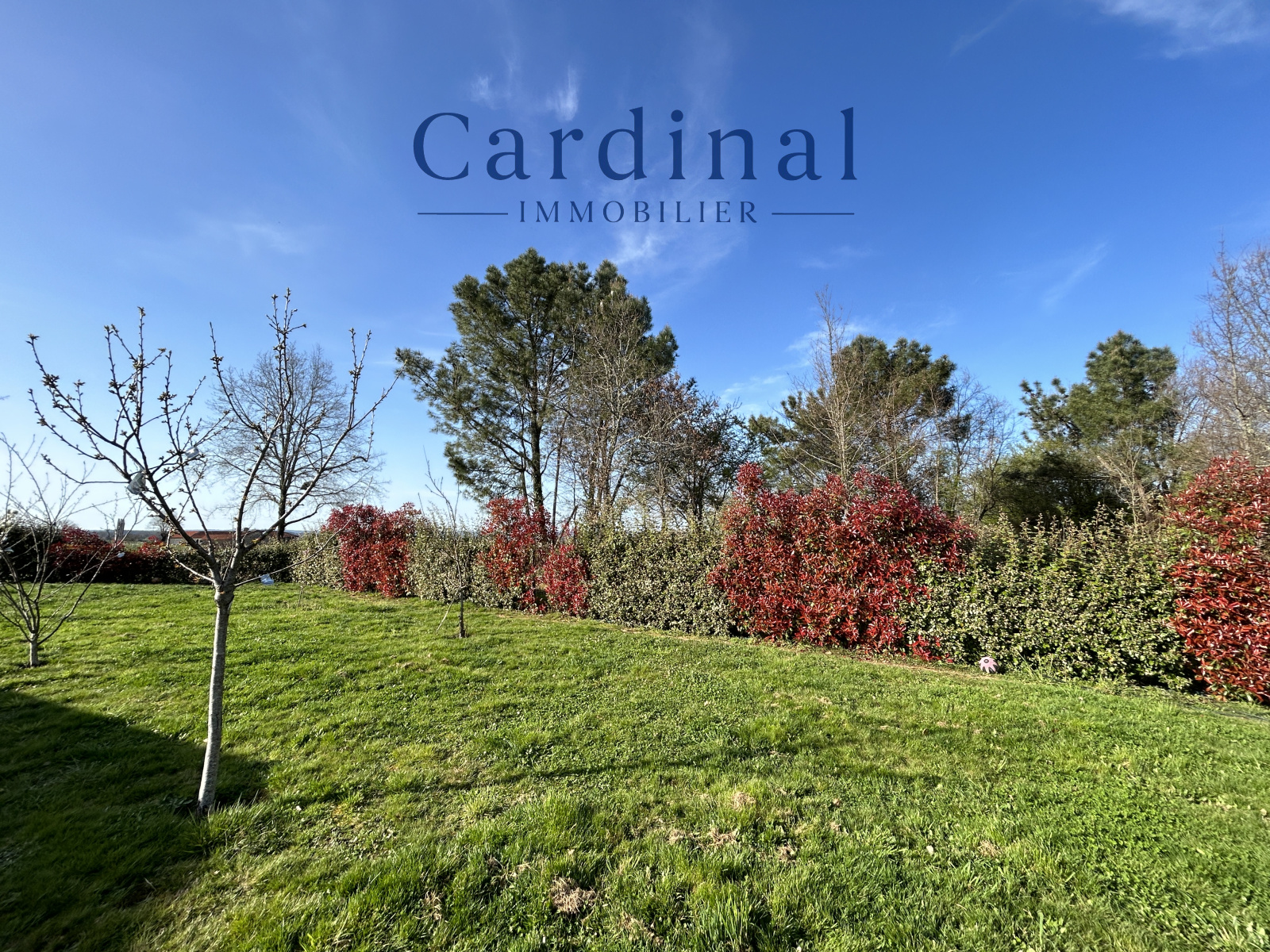 Image_34, Maison, Coursac, ref :CARDINAL 57