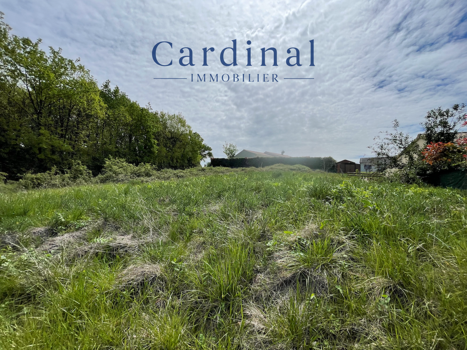 Image_3, Terrain, Coursac, ref :CARDINAL 31