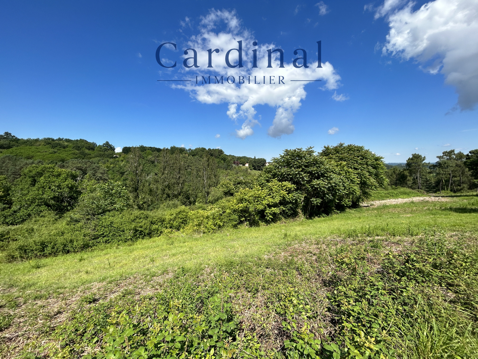 Image_4, Terrain, Coursac, ref :CARDINAL 124