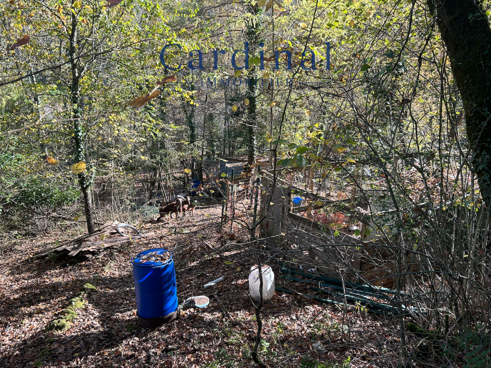 Image_19, Maison, Saint-Astier, ref :CARDINAL 47