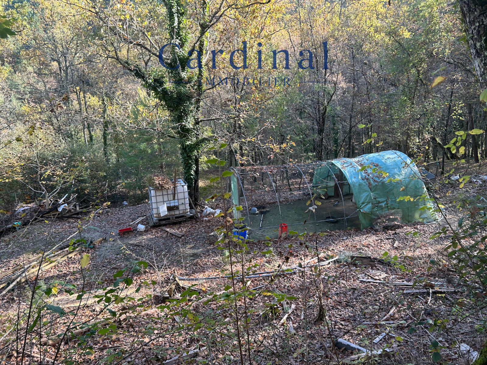 Image_20, Maison, Saint-Astier, ref :CARDINAL 47