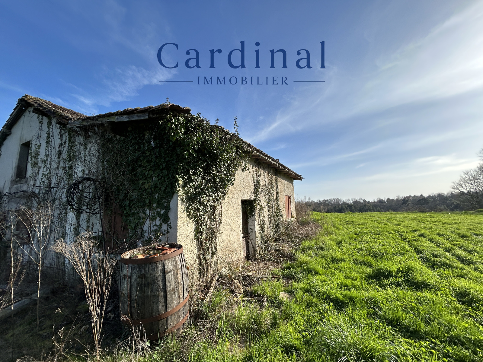 Image_8, Maison, Coursac, ref :Cardinal 59