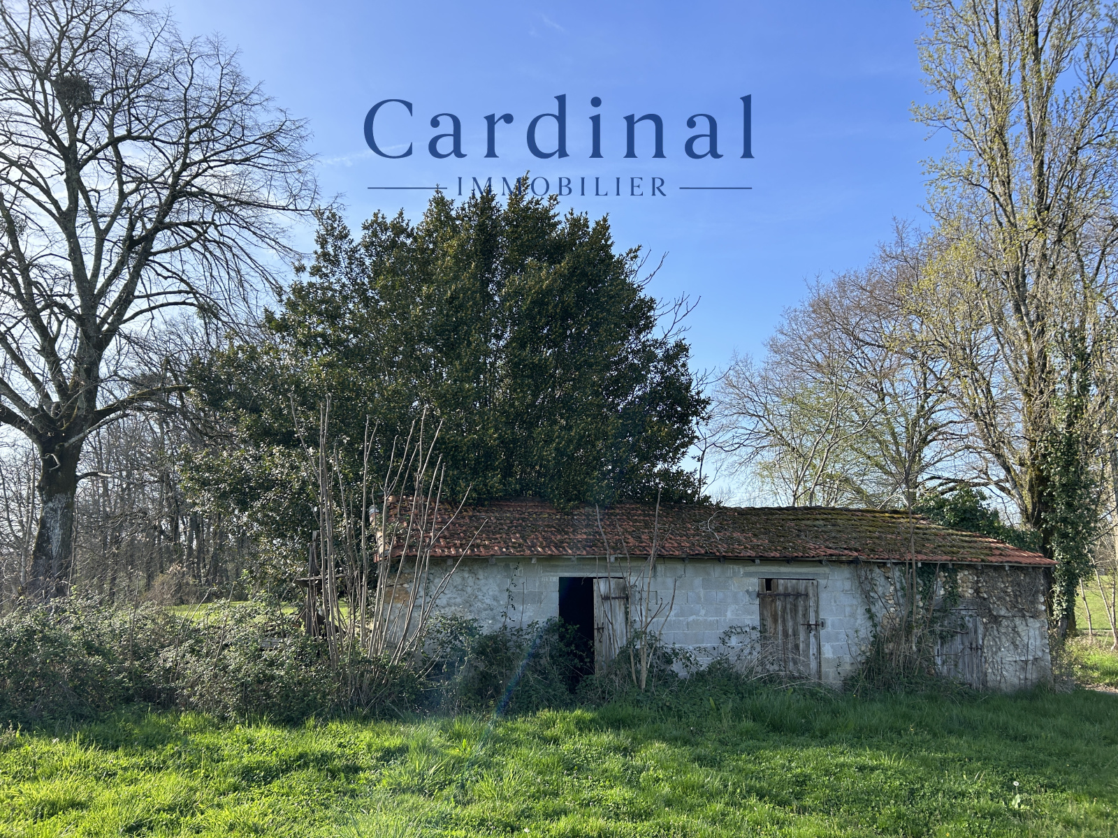 Image_2, Maison, Coursac, ref :Cardinal 59