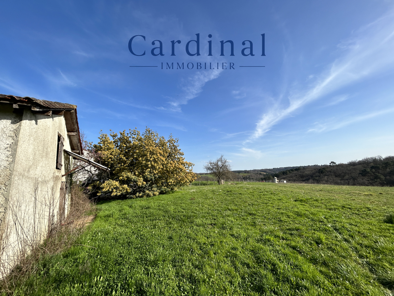 Image_6, Maison, Coursac, ref :Cardinal 59