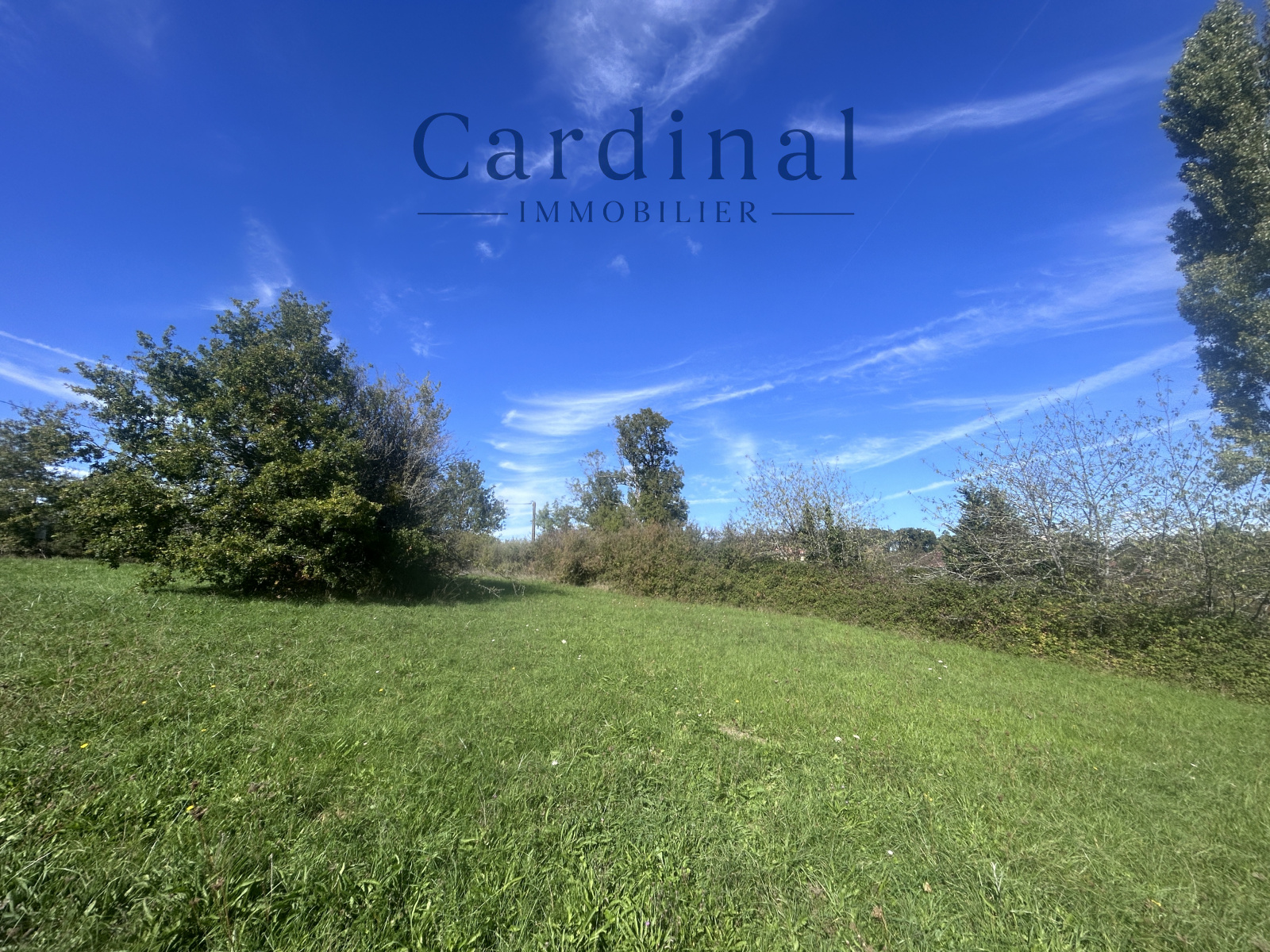 Image_4, Terrain, Nontron, ref :CARD138