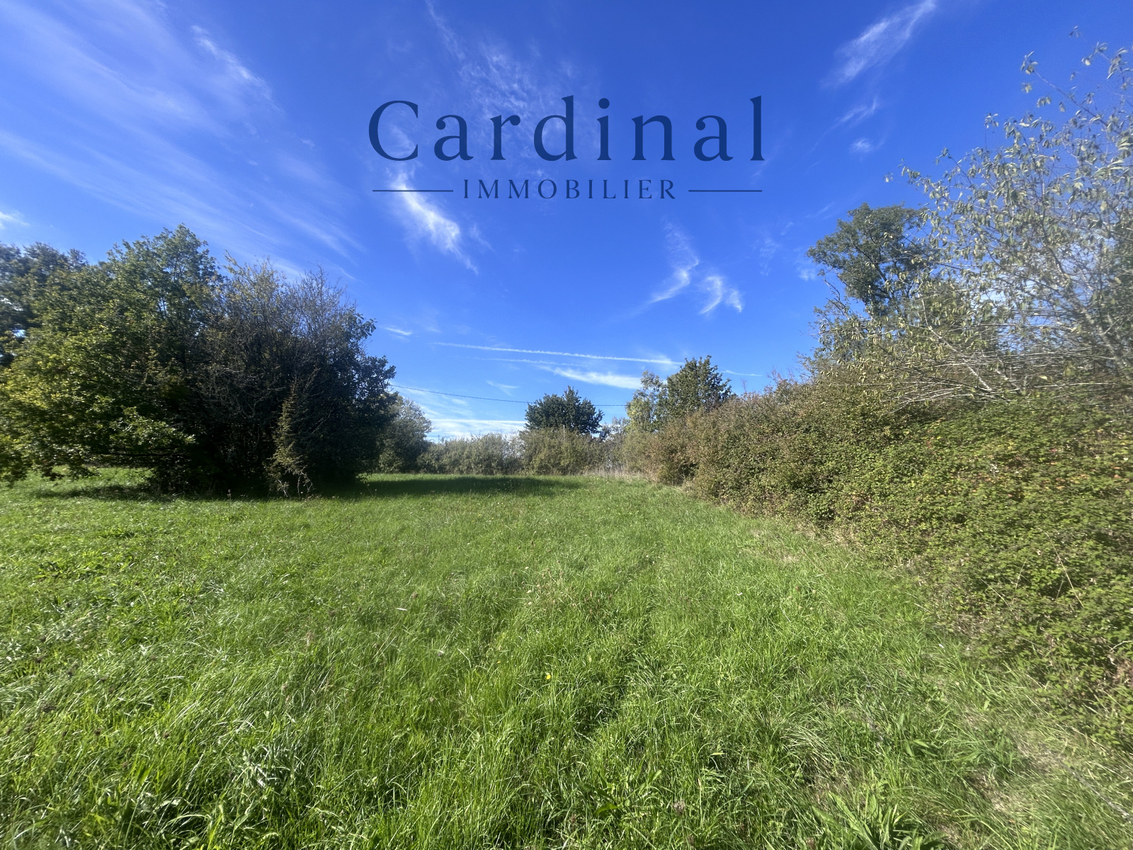 Image_1, Terrain, Nontron, ref :CARD138