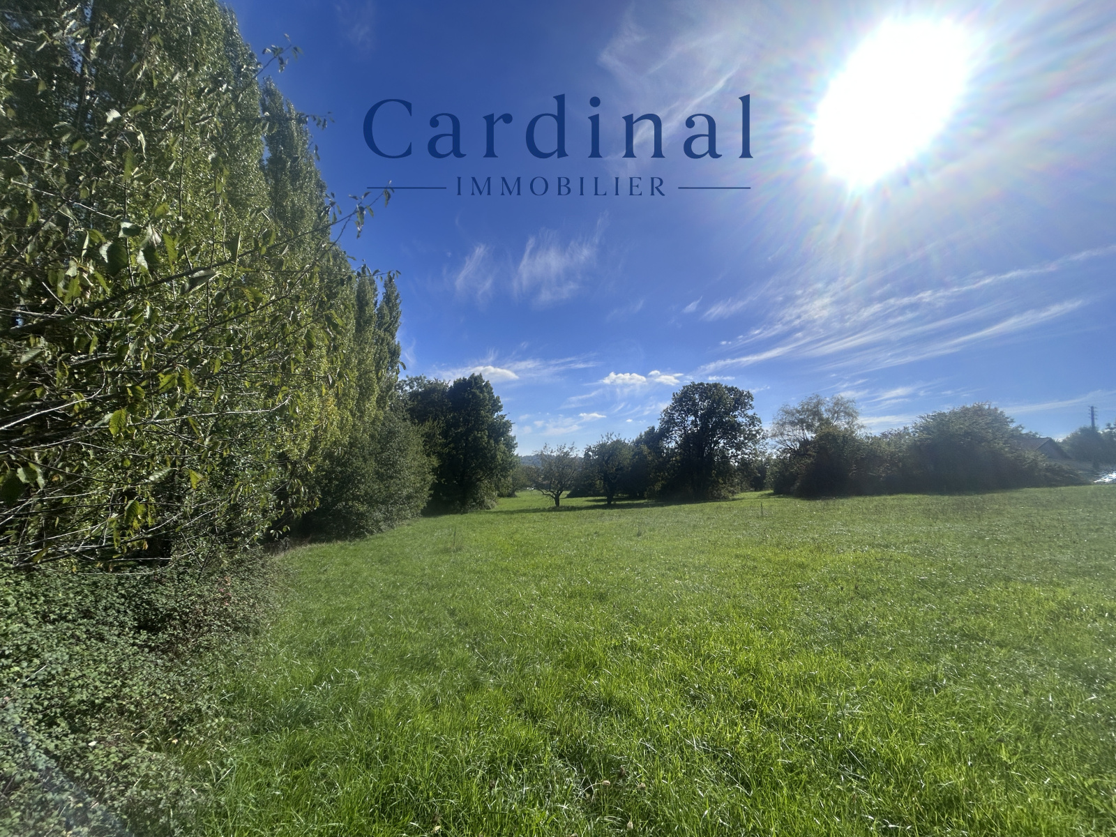 Image_2, Terrain, Nontron, ref :CARD137