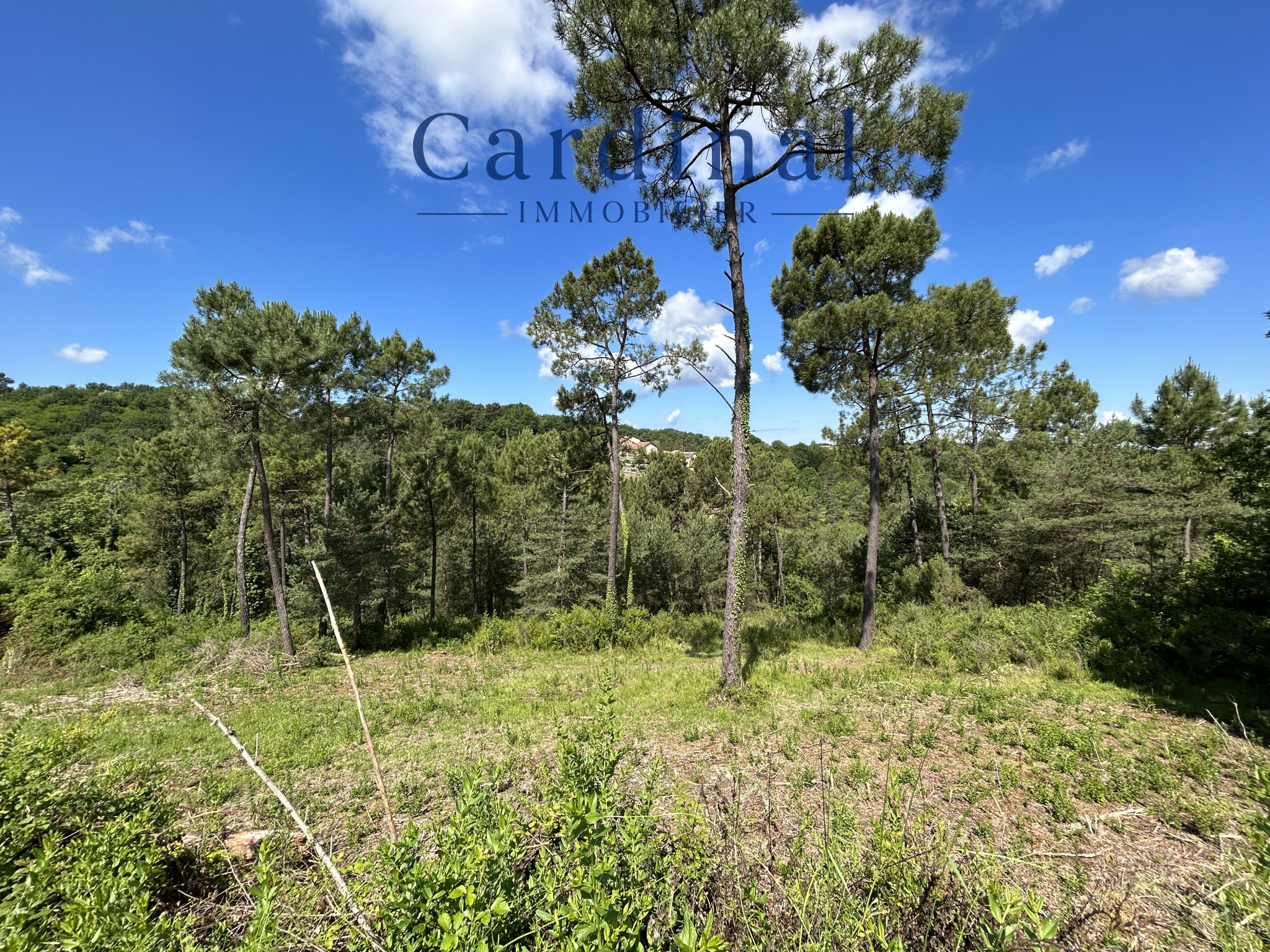 Agence immobilière de  Cardinal Immobilier
