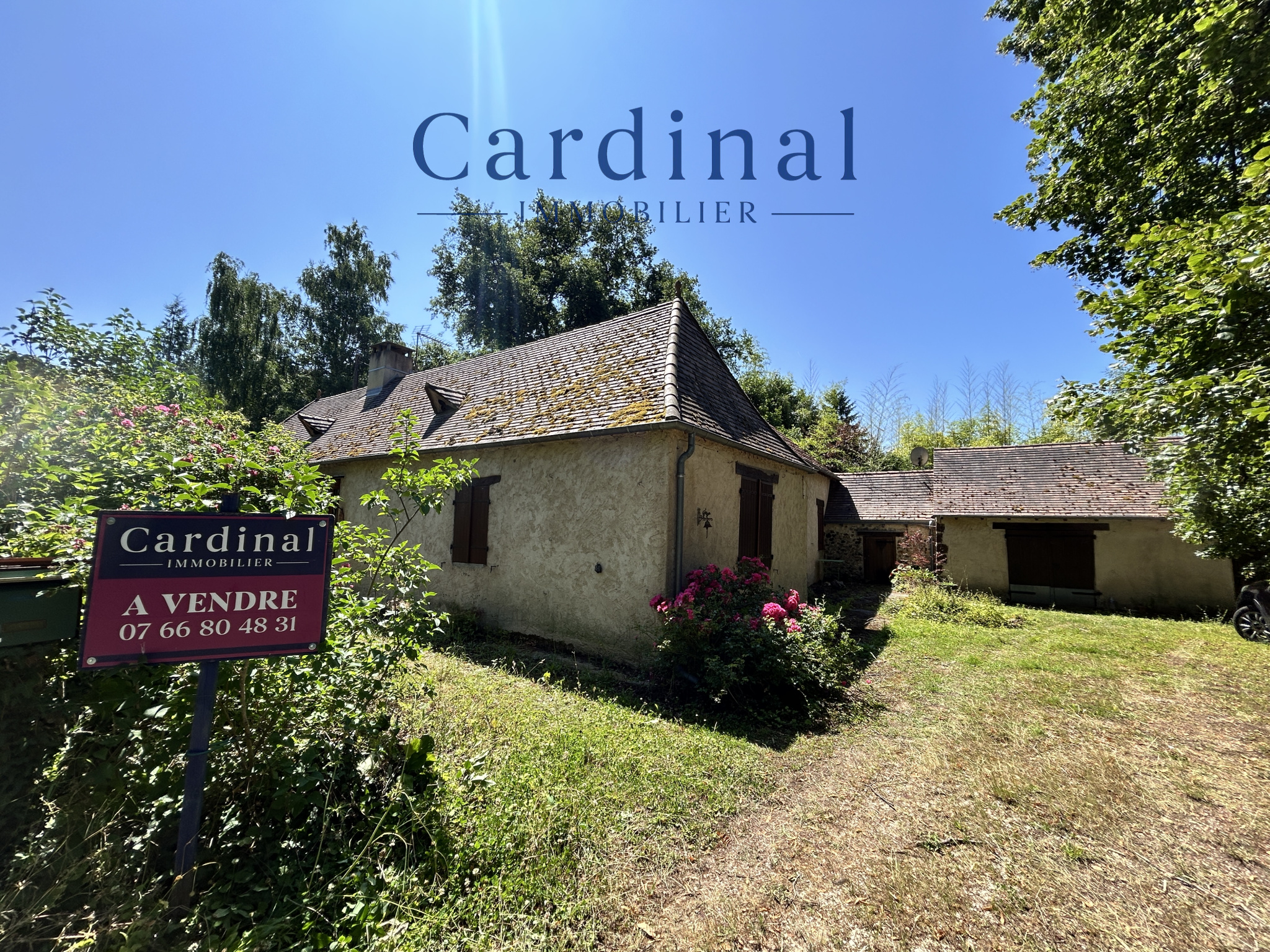 Agence immobilière de  Cardinal Immobilier